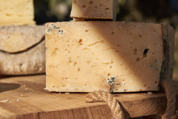Öntőformával ellátott kézműves sajt keresztmetszete - Fotó, kép
