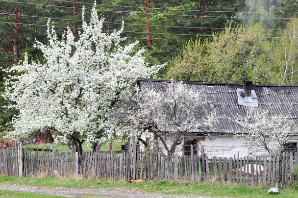 Piccola casa di villaggio tradizionale in Russia rurale
 - Foto, immagini