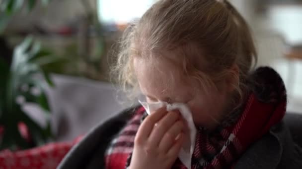 cold caucasian girl at home. portrait of a sick child in a scarf and plaid on the sofa in the apartment, the schoolgirl blows snot into a napkin - Footage, Video