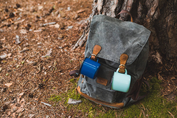 hiking backpack near tree in forest hiking concept - Foto, afbeelding