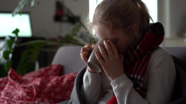 Porträt eines kranken Kindes in Schal und Plaid mit einer Tasse heißem Tee auf dem Sofa in der Wohnung - Filmmaterial, Video