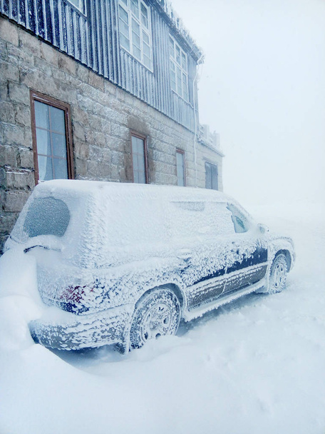 車は冬の吹雪の後に雪をカバーした。山の嵐の後家の近くの車. - 写真・画像