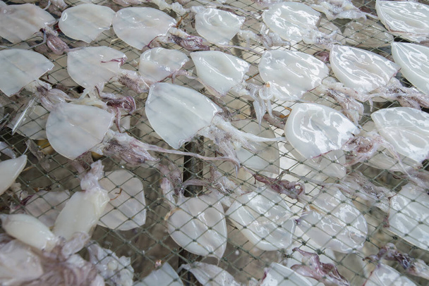 una producción de mariscos secos en el pueblo pesquero de Sai Noi cerca de la ciudad de Pranburi en el Golf de Tailandia al sur de la ciudad de Hua Hin en Tailandia. Tailandia, Hua Hin, noviembre de 2019
 - Foto, Imagen