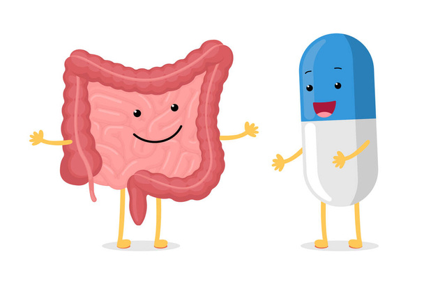 Cute kreskówki zdrowe jelita i uśmiechnięty lek charakter pigułki. Jamy brzusznej przewodu pokarmowego i wydalania narządów wewnętrznych człowieka z probiotykiem lub kapsułki antybiotykowej. Ilustracja leku wektorowego - Wektor, obraz