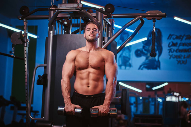 Urheilullinen mies lihaksikas elin tekee harjoituksia käsipainoilla kuntosalilla
 - Valokuva, kuva