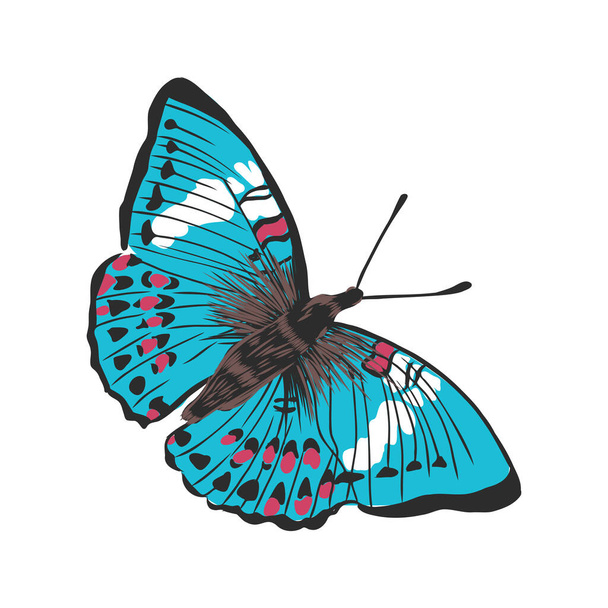 カラフルな現実的な蝶昆虫装飾用ベクトルイラスト - ベクター画像