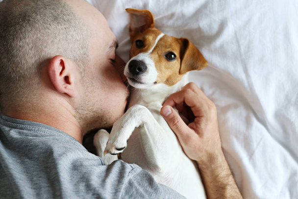 Emotional support animal concept. Portrait of man sleeping with jack russell terrier dog in bed. Adult male and his pet lying together on white linens. Close up, copy space, background. - Foto, Imagem