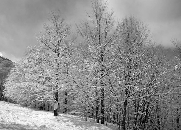 Χειμερινό τοπίο στο βουνό Sutton, ανατολική κωμόπολη Κεμπέκ, Καναδάς - Φωτογραφία, εικόνα