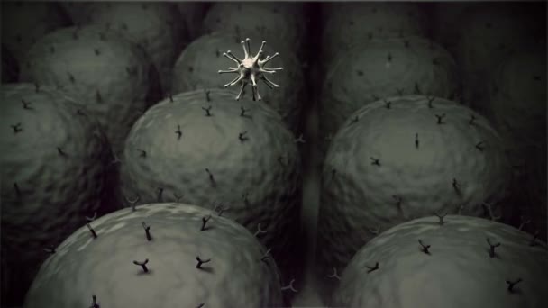 Virus und Antikörper, Antikörper töten die Viren, Makrophagen und Viren, medizinischer Hintergrund - Filmmaterial, Video