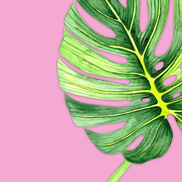 Watercolor drawing of a green leaf. Monstera leaf. Green leaf of a tropical plant. Watercolor natural art. Floral illustration. - Fotoğraf, Görsel