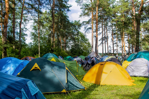 Acampar ao ar livre - tendas, equipamentos e cozinha. Vista do acampamento na natureza. Tendas entre a vegetação
 - Foto, Imagem
