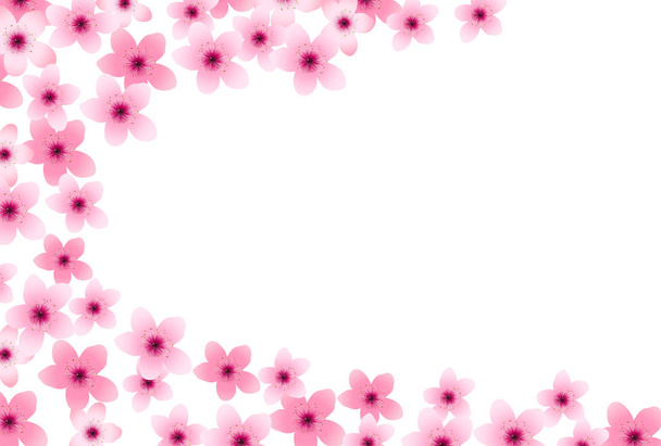 Background cherry blossom spring flower Japan - Vector, Image