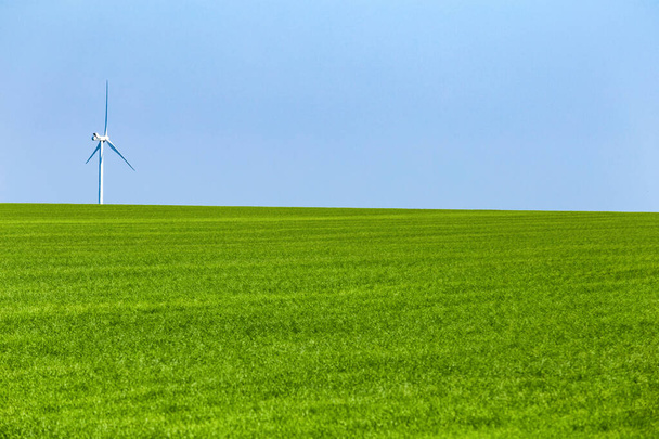 One wind turbine on green meadow in sunny day - Photo, Image