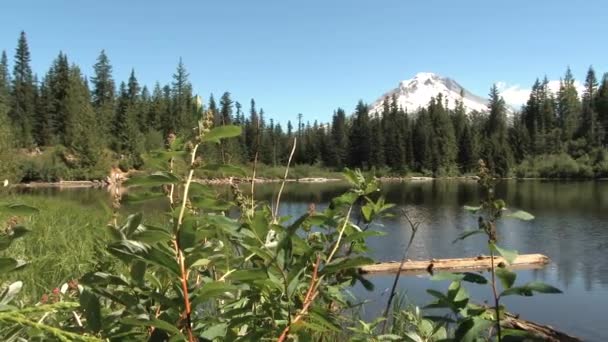 Камерна сковорідка через озеро Дзеркало біля гори Гуд в штаті Орегон в прекрасний літній день.. - Кадри, відео