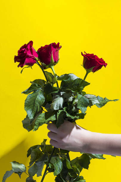 A boys hand holdng red roses as gift for mother. Women day concept, vertical image and copy space - Foto, afbeelding