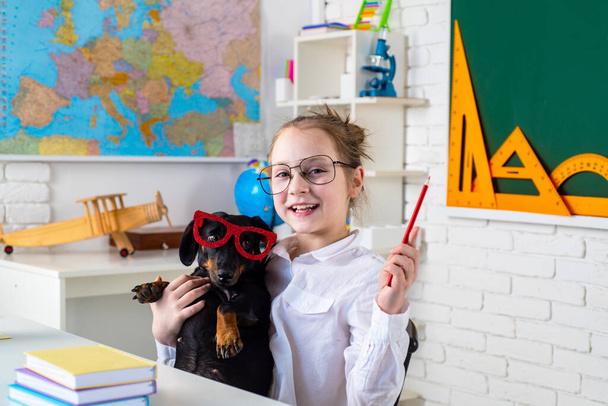 Funny puppi and pupil. Child girl with puppi. Happy smiling kid go back to school. Funny education. Funny puppy in glasses. - Foto, afbeelding
