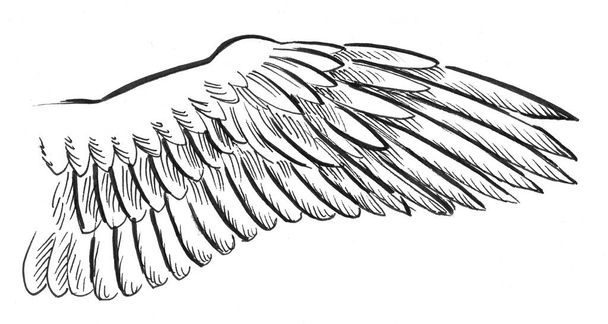 Птичье крыло. Чернильно-белый эскиз
 - Фото, изображение