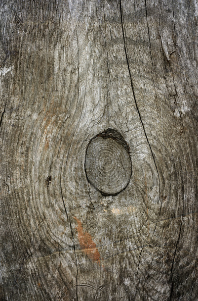 Wooden background - Fotografie, Obrázek