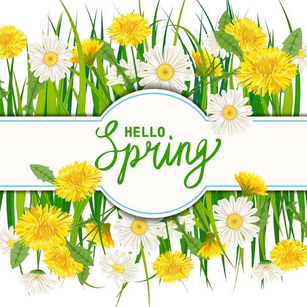Ciao primavera lettering banner modello con fiori freschi bouquet tarassaco e margherite, camomille, erba. Illustrazione vettoriale. Design floreale per manifesti, volantini, biglietti di auguri, inviti
 - Vettoriali, immagini