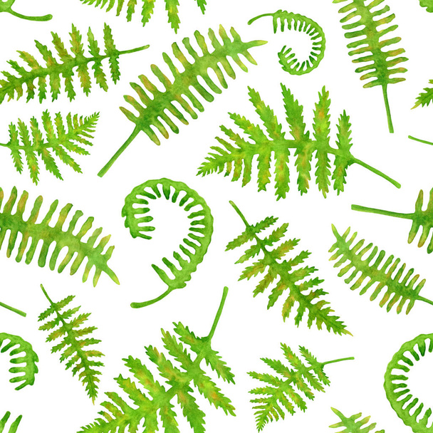 Watercolor green fern leaves seamless pattern. Hand painted forest plants Polypodiopsida texture isolated on white background. Illustration for decoration, cards, invitations, textile, wrapping - Photo, Image