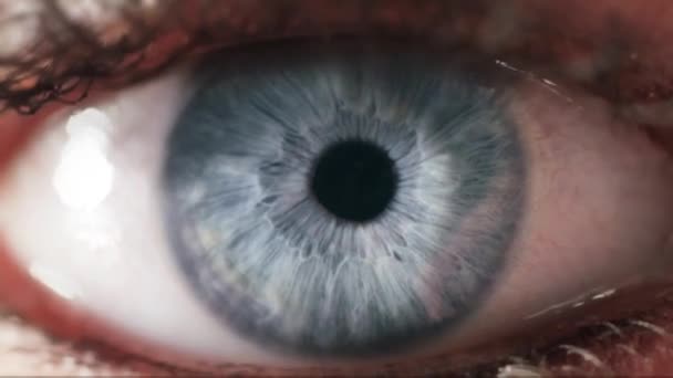 Un primo piano dell'occhio umano. Zoomando nell'iride oculare. Micro colpo
. - Filmati, video