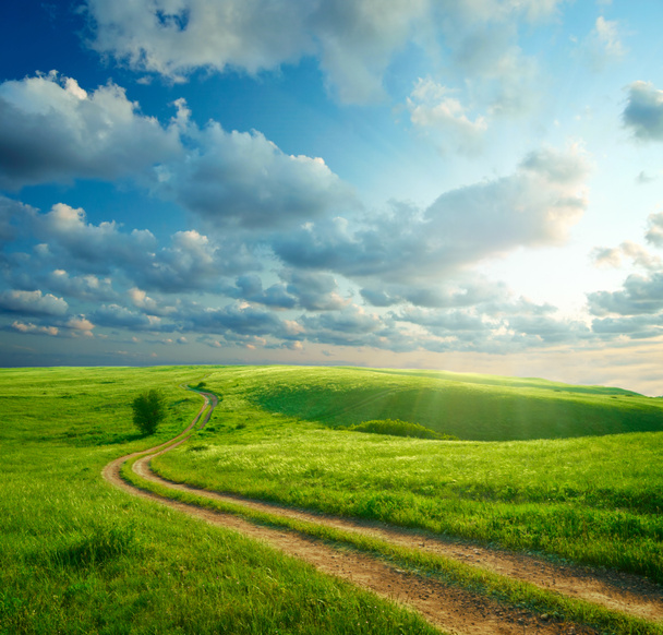 Letni krajobraz z zieloną trawą, drogą i chmurami - Zdjęcie, obraz