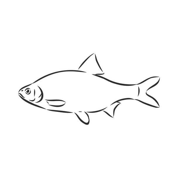 ποταμόψαρα, πινακίδα αλιείας, σιλουέτα, διανυσματική απεικόνιση σκίτσο - Διάνυσμα, εικόνα
