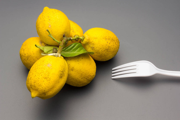 Citrusová a zimní zelenina, bohatá na vitamíny, velmi zdravá. Citron s velmi aromatickou žlutou slupkou a kyselou chutí, ideální pro přípravu osvěžujících šťáv v zimním a zimním zelí - Fotografie, Obrázek