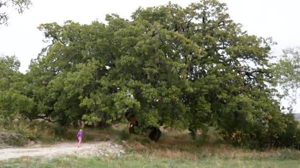  A girl runs along the path to look at an ancient oak tree, which is already 800 years old. - Footage, Video