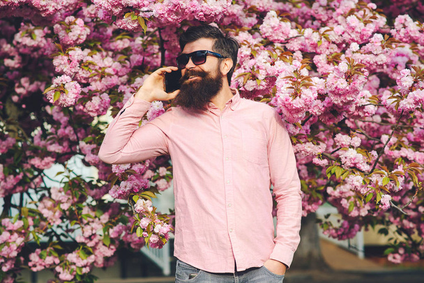 Primavera. Hombre barbudo con camisa rosa hablando por teléfono. Flor de sakura rosa primavera. Joven guapo con smartphone. Hombre de moda en gafas de moda. Barbudo hombre con estilo. Moda masculina
. - Foto, imagen