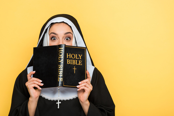 shocked nun reading holy bible isolated on grey - Fotó, kép