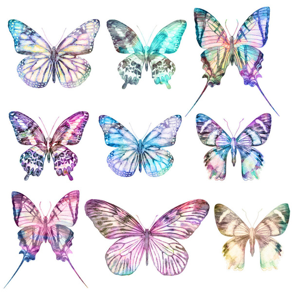 Beyaz arka planda izole edilmiş suluboya kelebekler. Büyük, parlak bir set. Soyut renkli resimleme koleksiyonu - Fotoğraf, Görsel