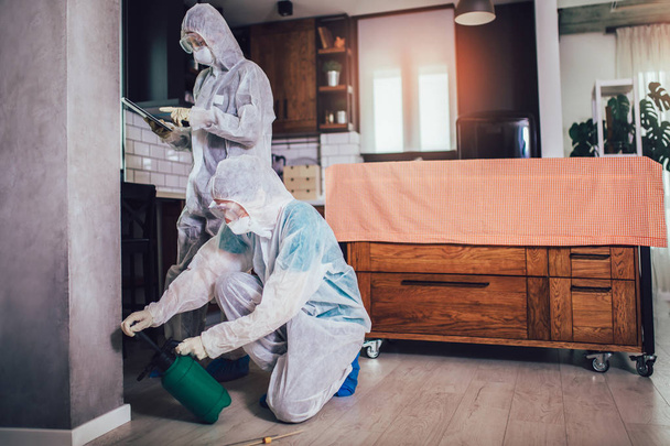 Specjaliści od kombinezonów ochronnych dezynfekują lub zwalczają szkodniki w mieszkaniu. - Zdjęcie, obraz