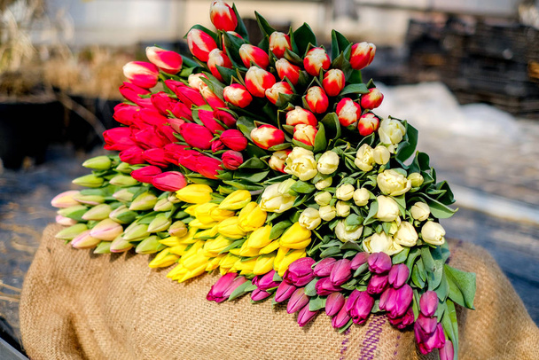 Muitos buquês de tulipas em barracas de mercado. Flores cortadas frescas para venda - Foto, Imagem
