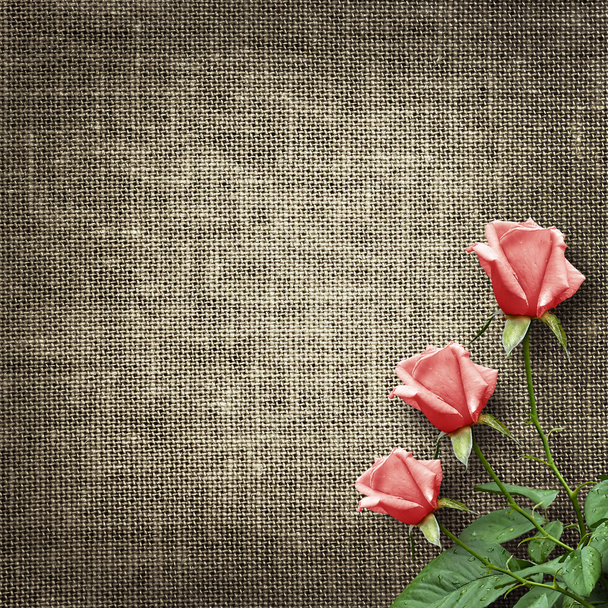 Postal vintage para la felicitación con rosas
 - Foto, Imagen