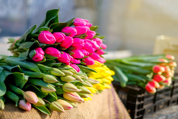 Wiele bukietów tulipanów na straganach. Świeże kwiaty cięte na sprzedaż - Zdjęcie, obraz