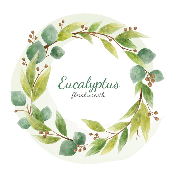 Vector eucalyptus floral branches and leaves round wreath. Cards design element isolated on white. Watercolor style - ベクター画像