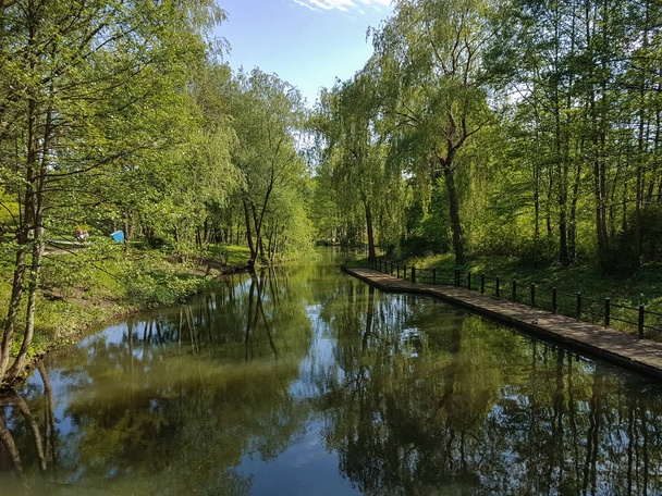 canal de água bonita na floresta spree
 - Foto, Imagem