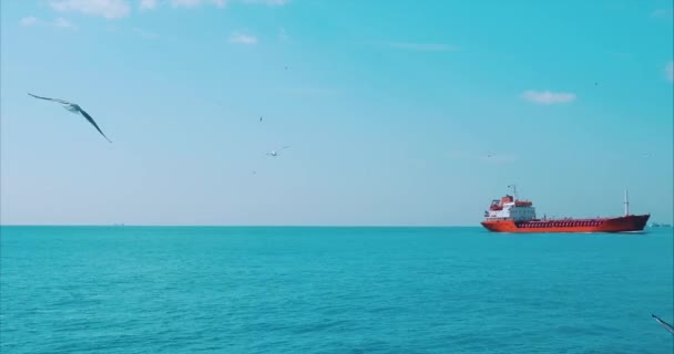 Velký červený tanker pluje na modrém moři ve vzdálenosti na pravé straně v létě - Záběry, video