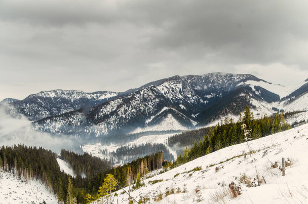 Nizke Tatry (Low Tatras) with cloudy weather - Foto, Imagem