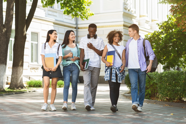 Gruppo di studenti multietnici che camminano insieme all'aperto nel campus universitario
 - Foto, immagini