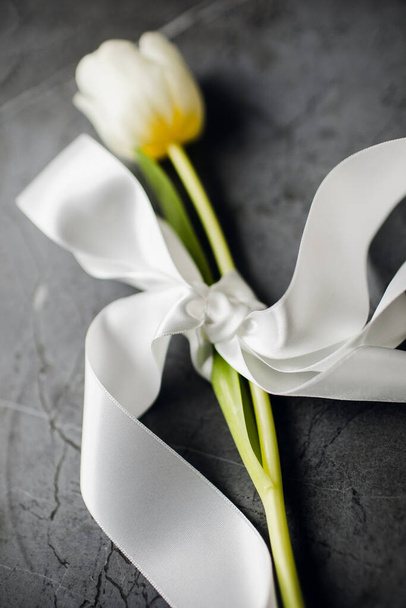 A bandaged tulip with a ribbon. International Womens Day concept. Top view - Foto, Bild