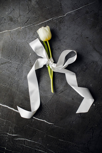 Eine bandagierte Tulpe mit einem Band. Internationaler Frauentag. Ansicht von oben - Foto, Bild