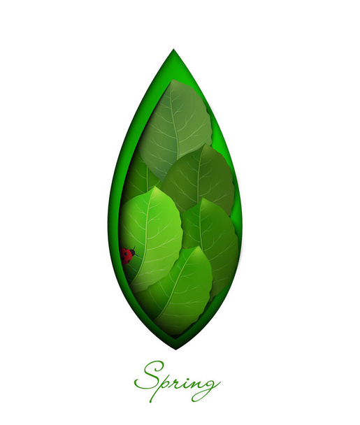 spring symbol, green leaf with ladybug inside, layered green leaf on the white background, eco concept, protect the plant idea, - Vektör, Görsel