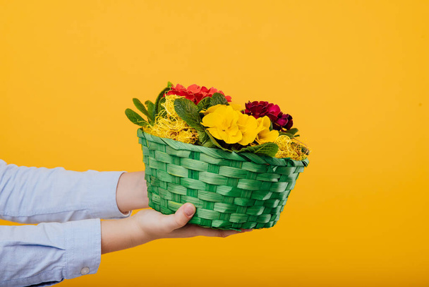 close up, flower basket in hand isolated on yellow - Foto, imagen