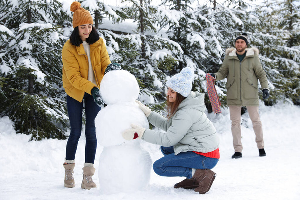 屋外で一緒に雪だるまを作る幸せな人々。冬休み - 写真・画像