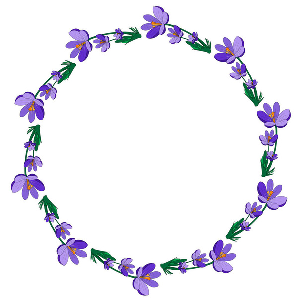 Round frame with pretty flowers crocus. Festive floral circle for your season design. Violet flowers.Vector Illustration. - Vetor, Imagem