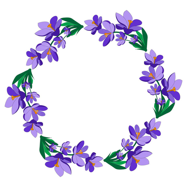 Round frame with pretty flowers crocus. Festive floral circle for your season design. Violet flowers.Vector Illustration. - Vettoriali, immagini
