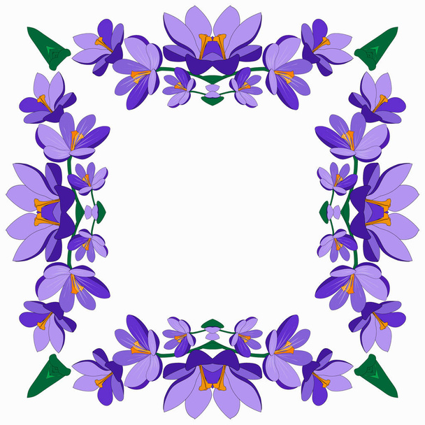 Square frame with pretty flowers crocus. Festive floral square for your season design. Violet flowers.Vector Illustration. - Διάνυσμα, εικόνα