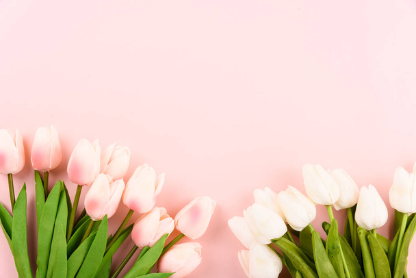 Happy Women's Day, Mother's Day concept. top view flat lay Tulip flower on pink background, copy space for your text - Fotografie, Obrázek